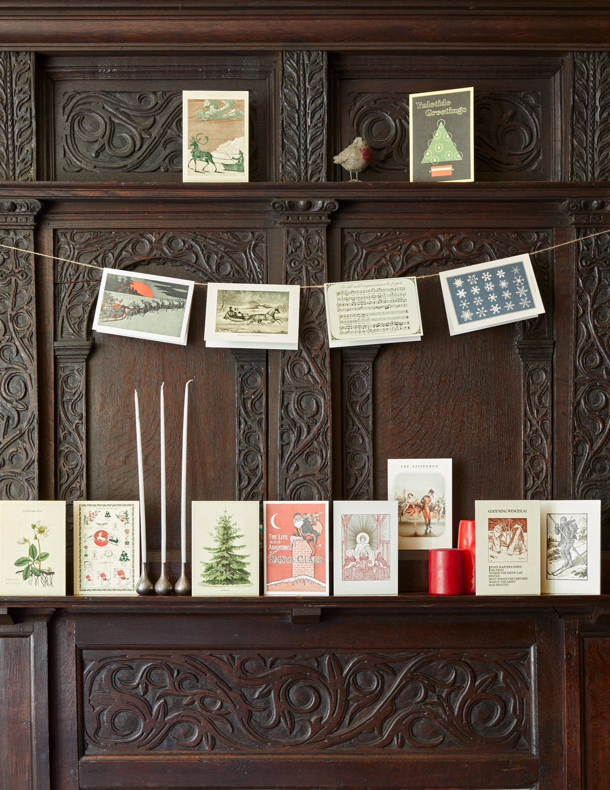 Christmas Rose Greeting Card