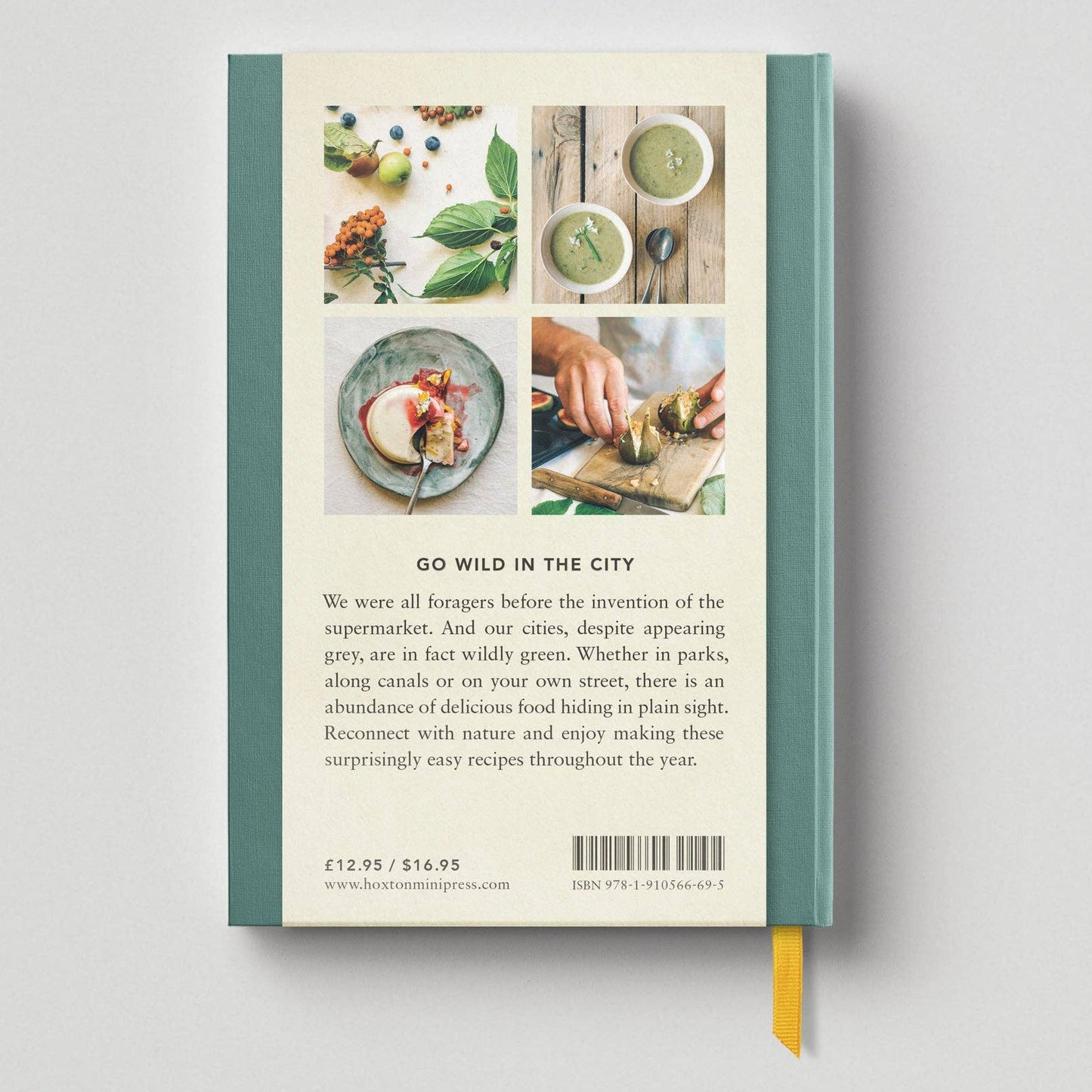 The Urban Forager: Find and Cook Wild Food in the City