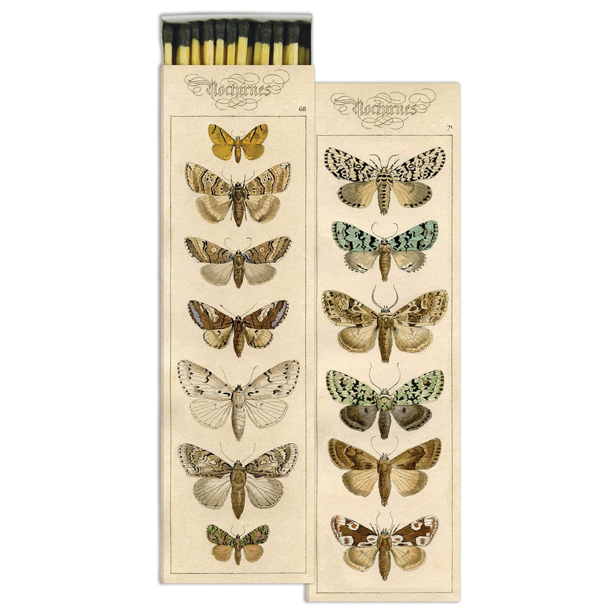 Match Box - Moths