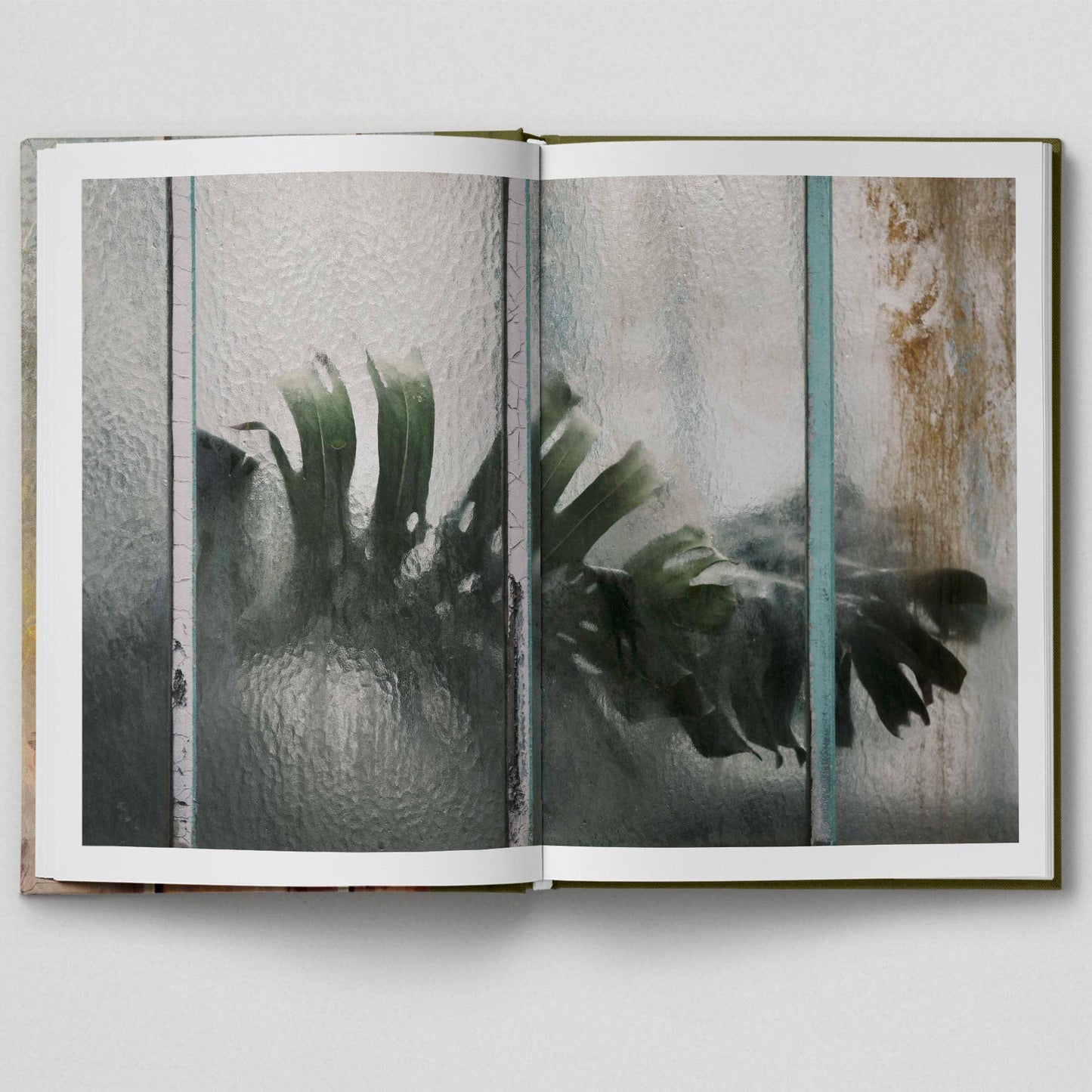 Botanical - Tales from the City