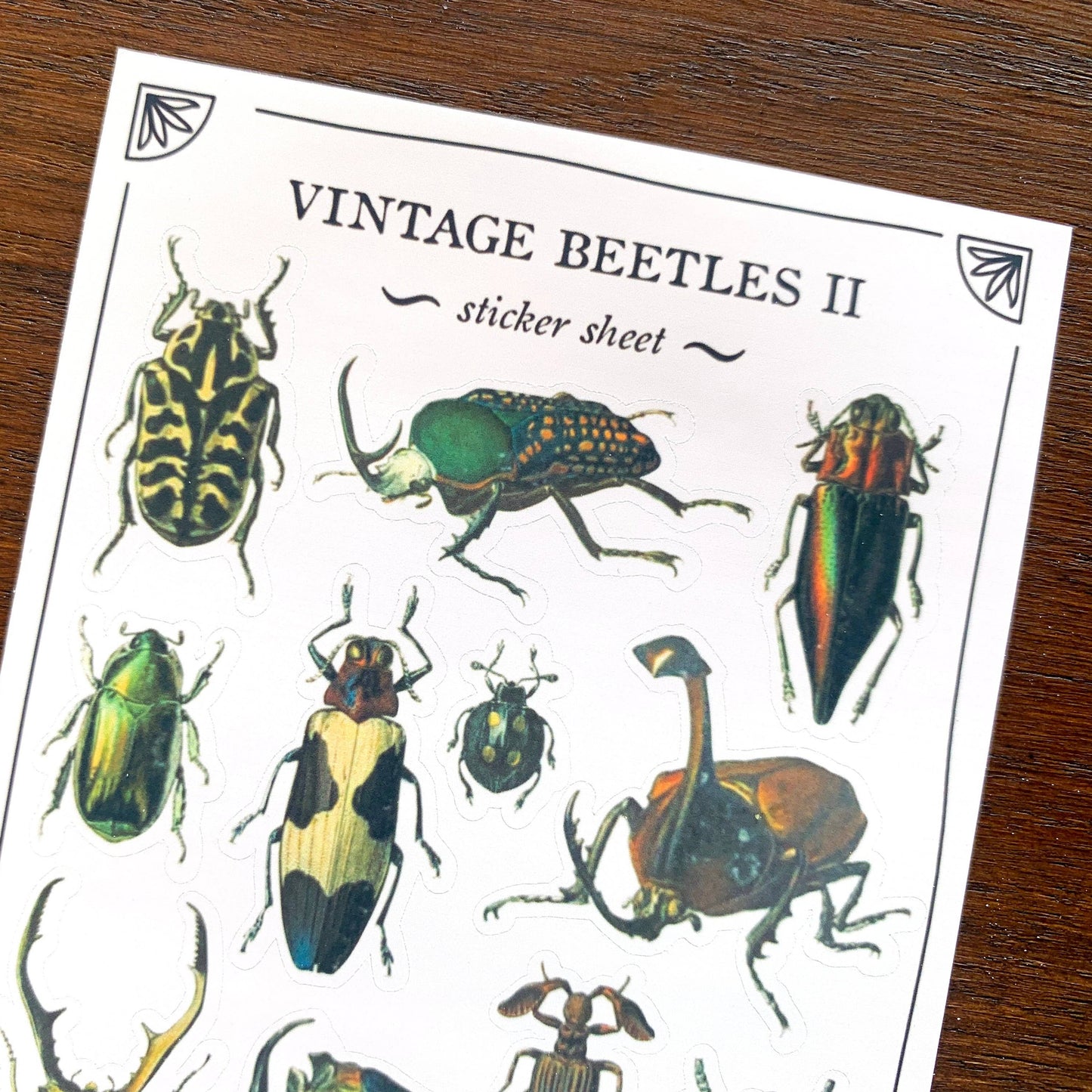 Vintage Beetles II Sticker Sheet