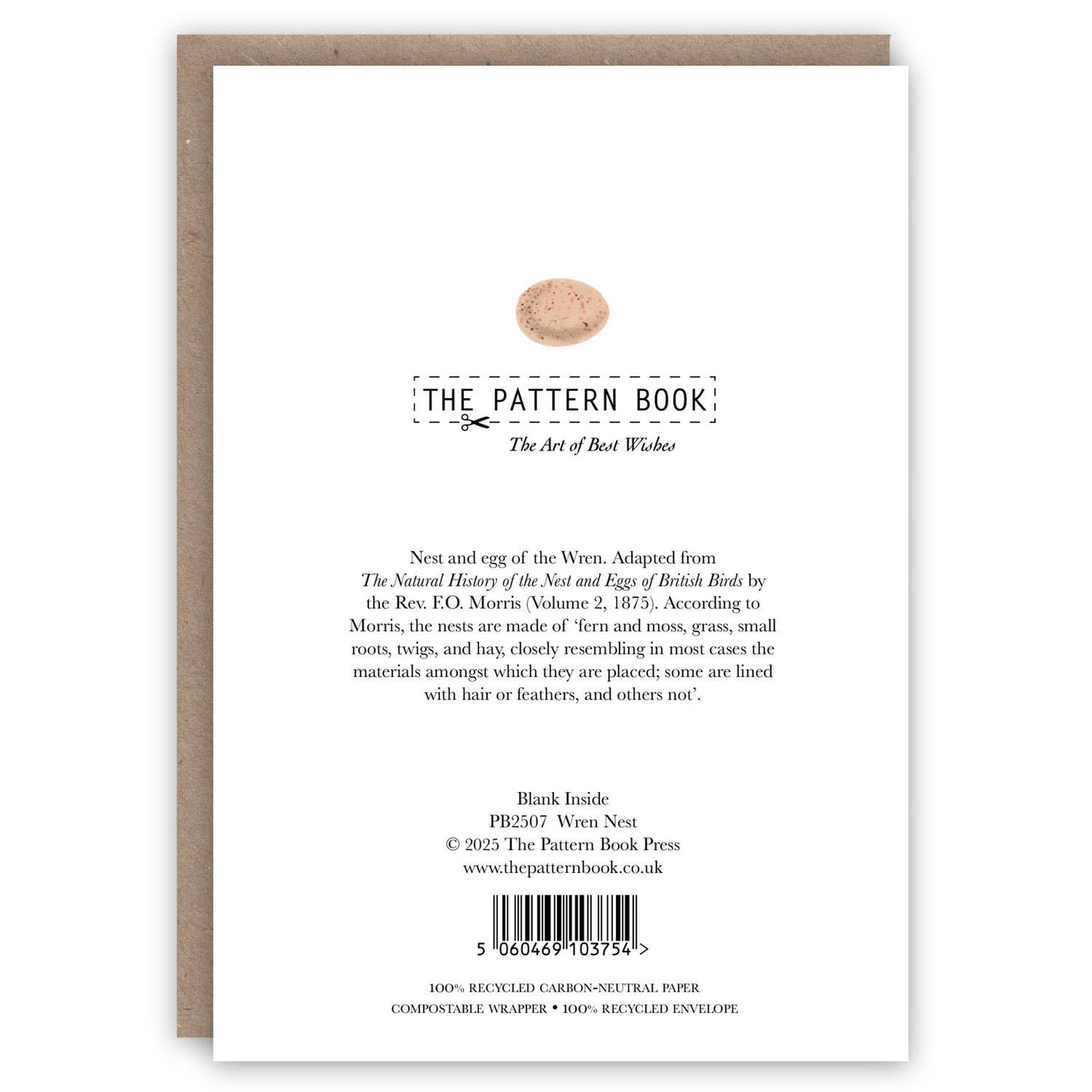 Wren Nest - Greeting Card