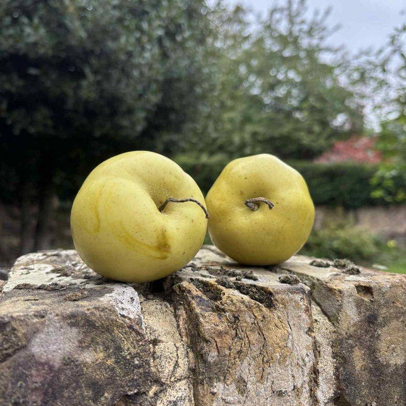 Hand-Painted Golden Delicious Apple Candle
