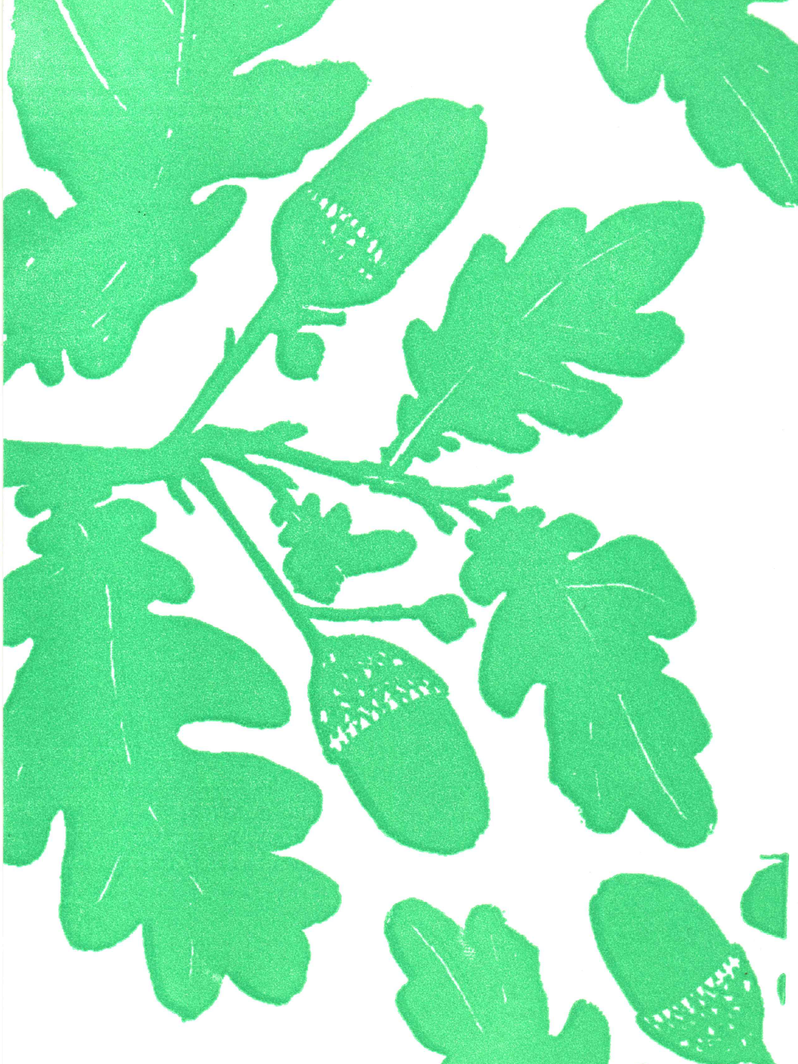 Oak Leaves - Greeting Card