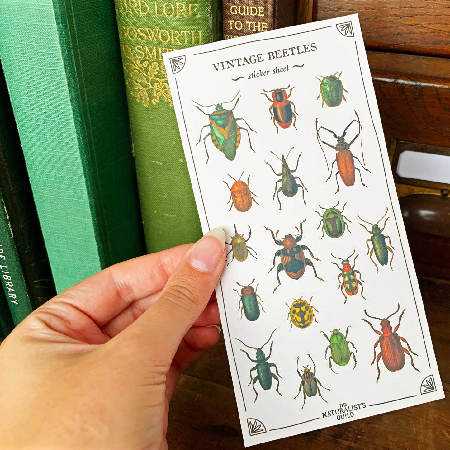 Vintage Beetles Sticker Sheet