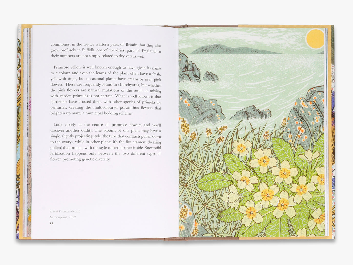 The Book Of Wildflowers
