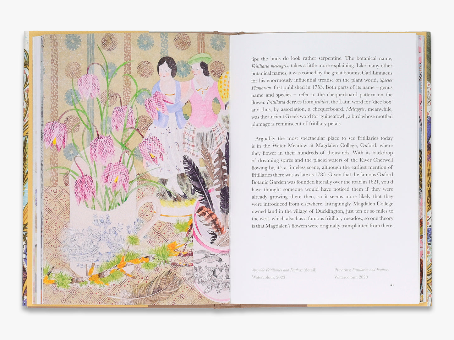 The Book Of Wildflowers