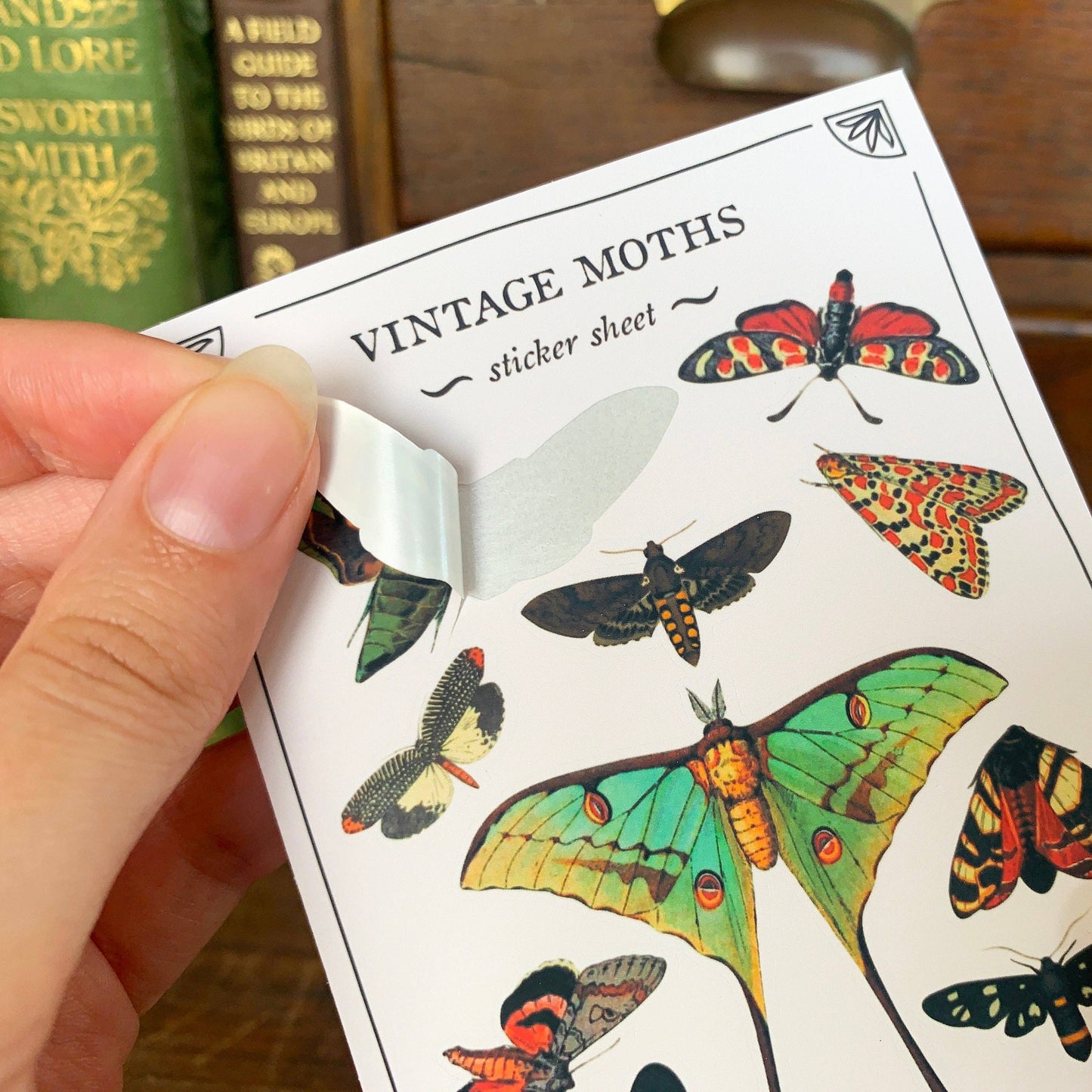 Vintage Moths Sticker Sheet