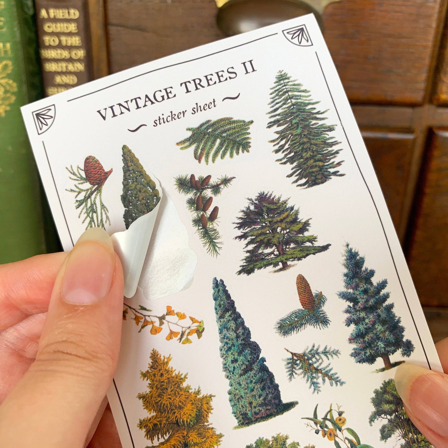 Vintage Trees II Sticker Sheet
