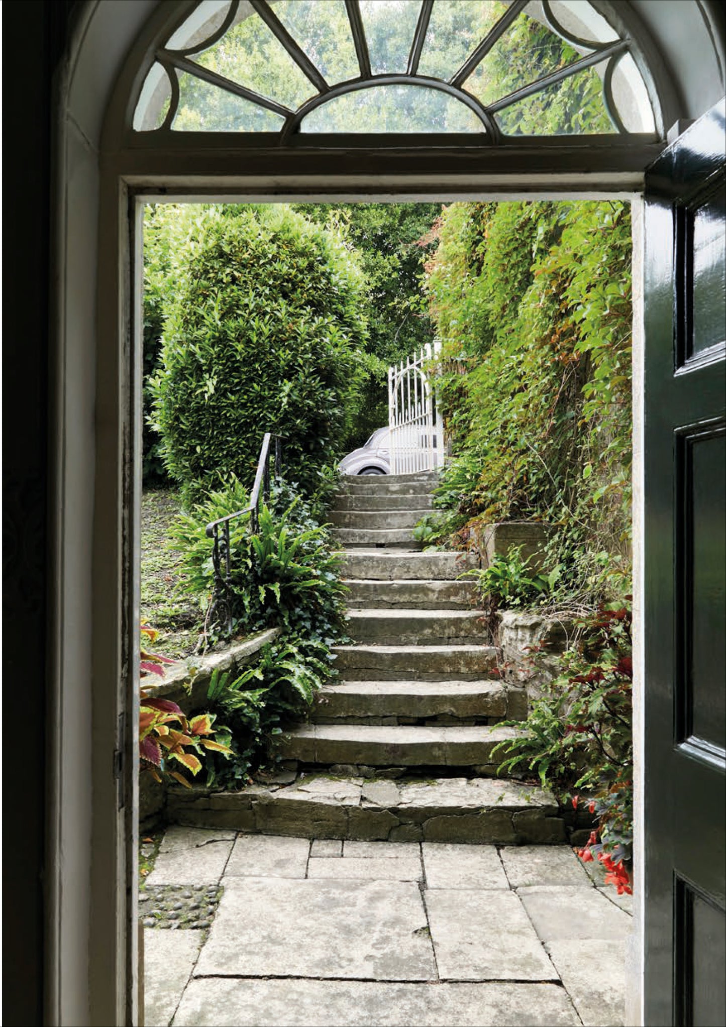 'At Home With Ben' Greeting Cards - Pack of 8