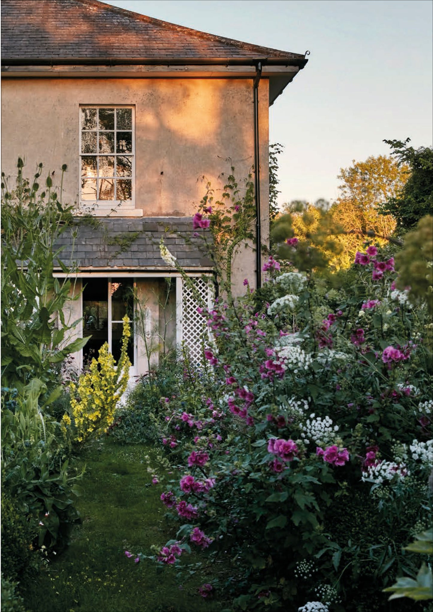 'At Home With Ben' Greeting Cards - Pack of 8