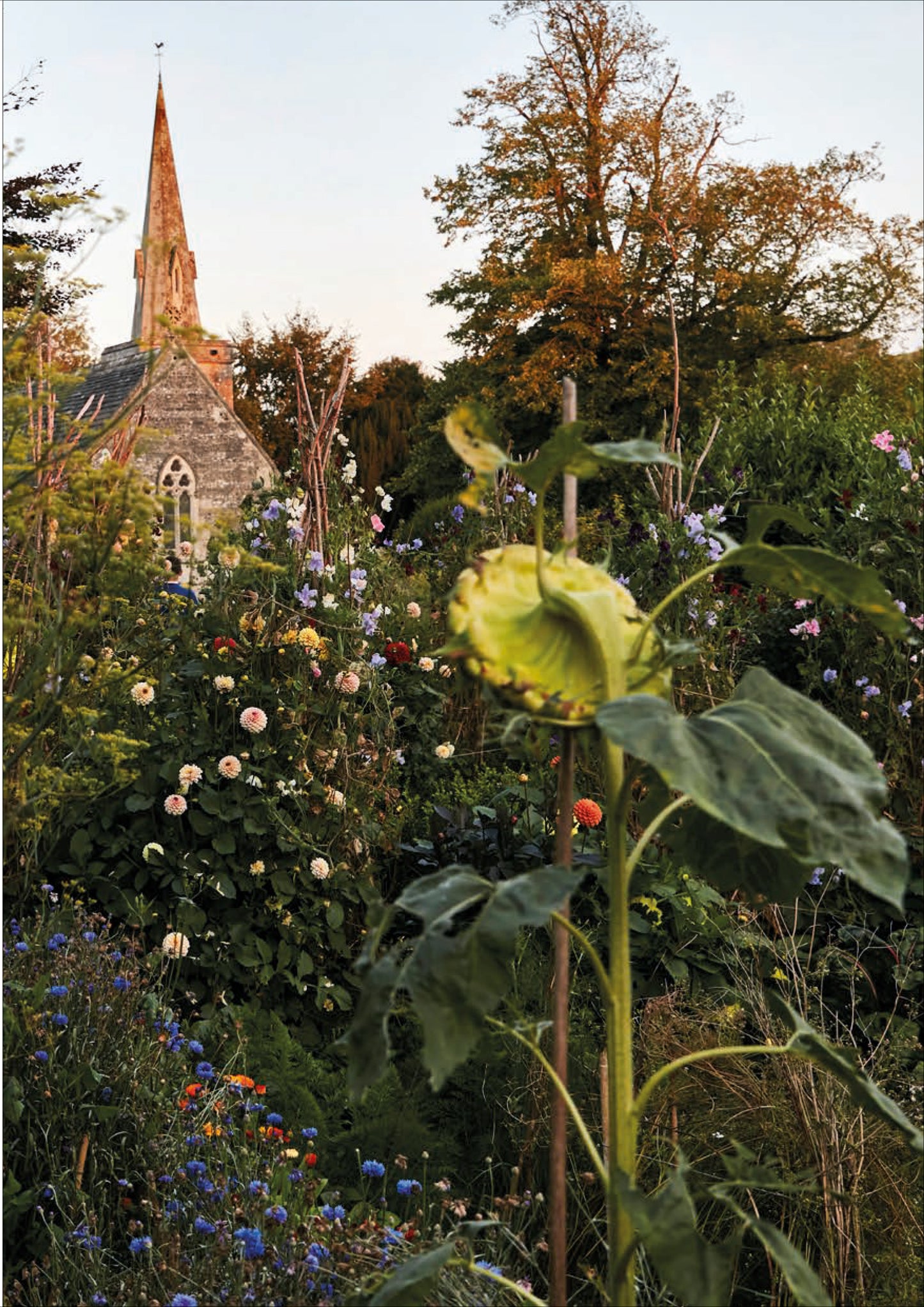 'At Home With Ben' Greeting Cards - Pack of 8