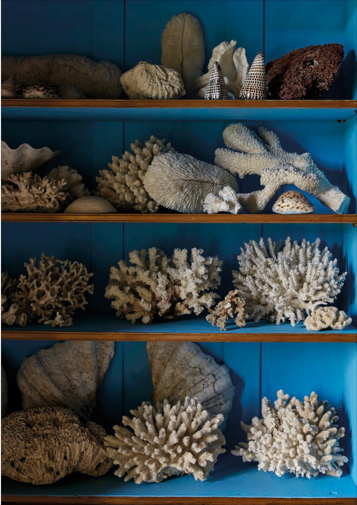 'At Home With Ben' Greeting Cards - Pack of 8