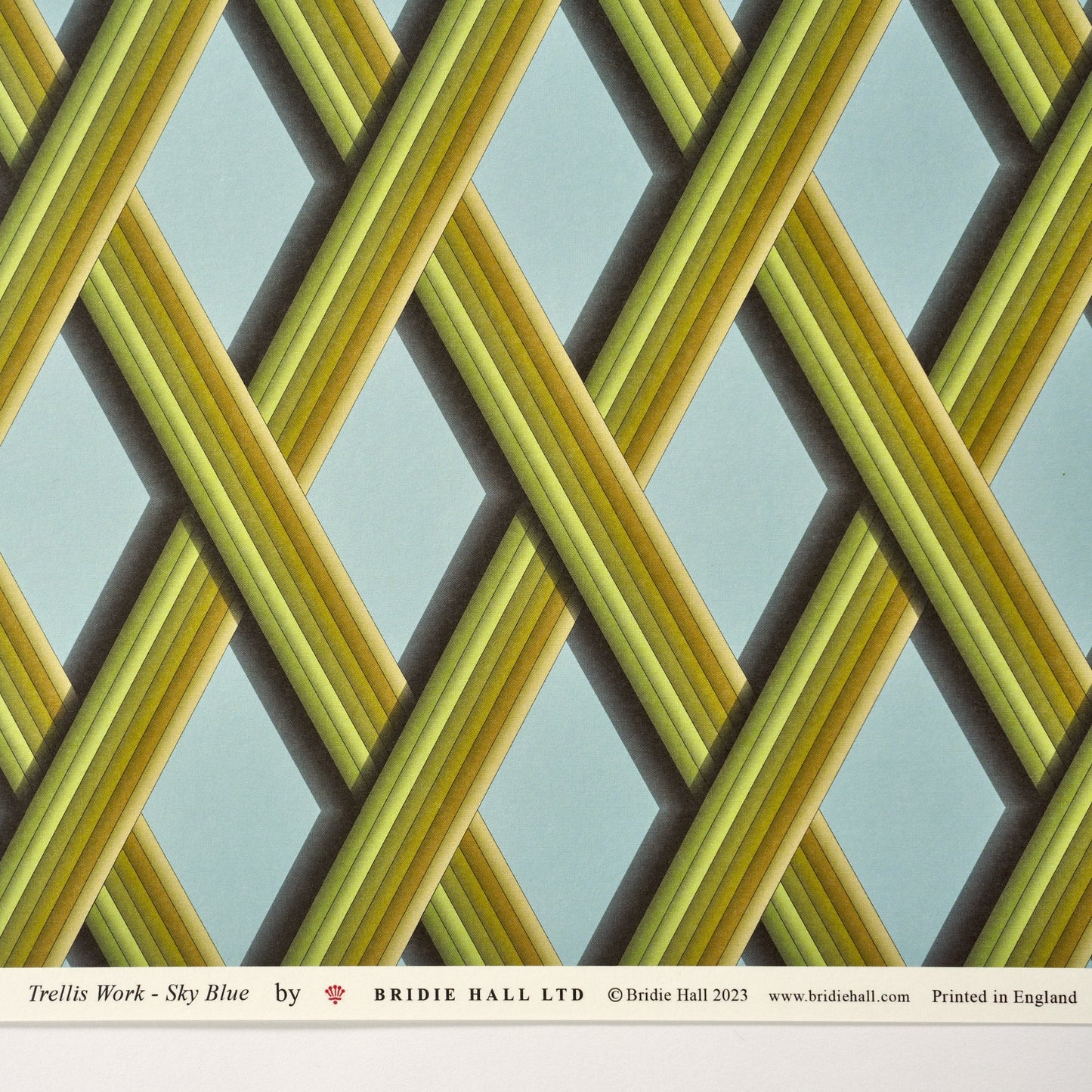 Trellis Work - 5 Sheets Of Sky Blue Paper