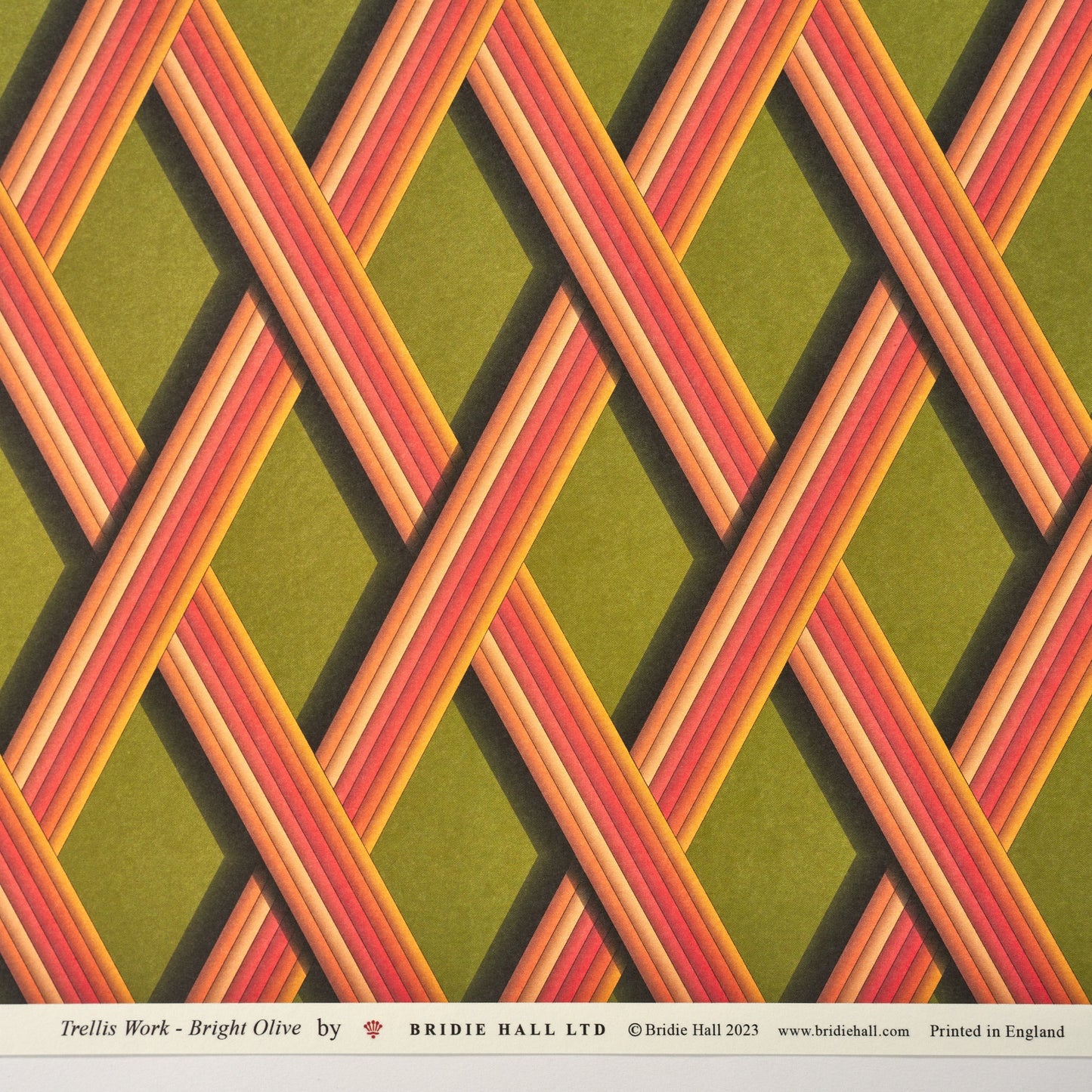 Trellis Work - 5 Sheets Of Bright Olive Paper