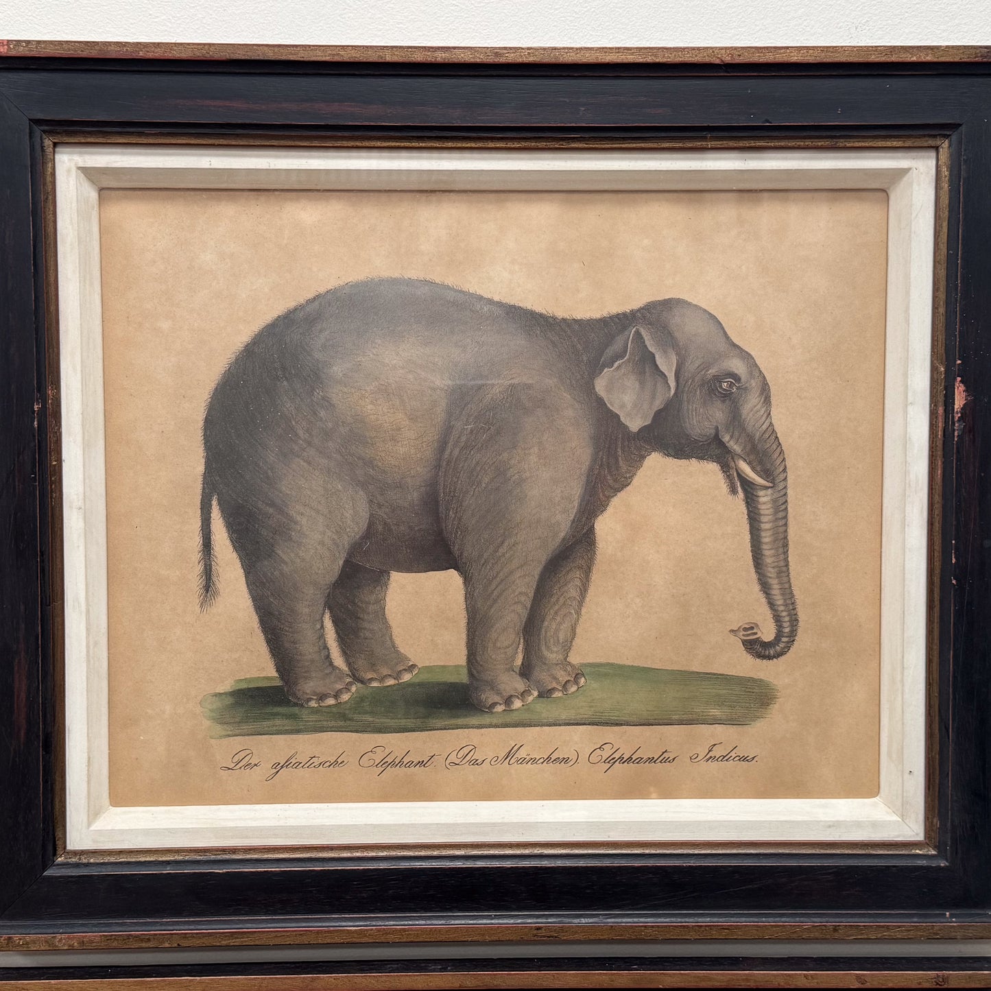 A Trio of Prints by Karl Joseph Brondtmann (1787-1862)