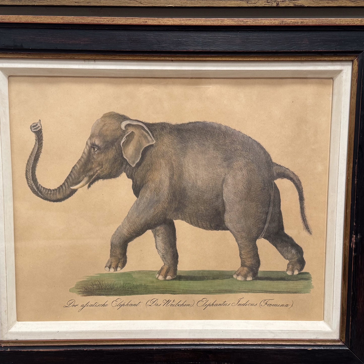 A Trio of Prints by Karl Joseph Brondtmann (1787-1862)