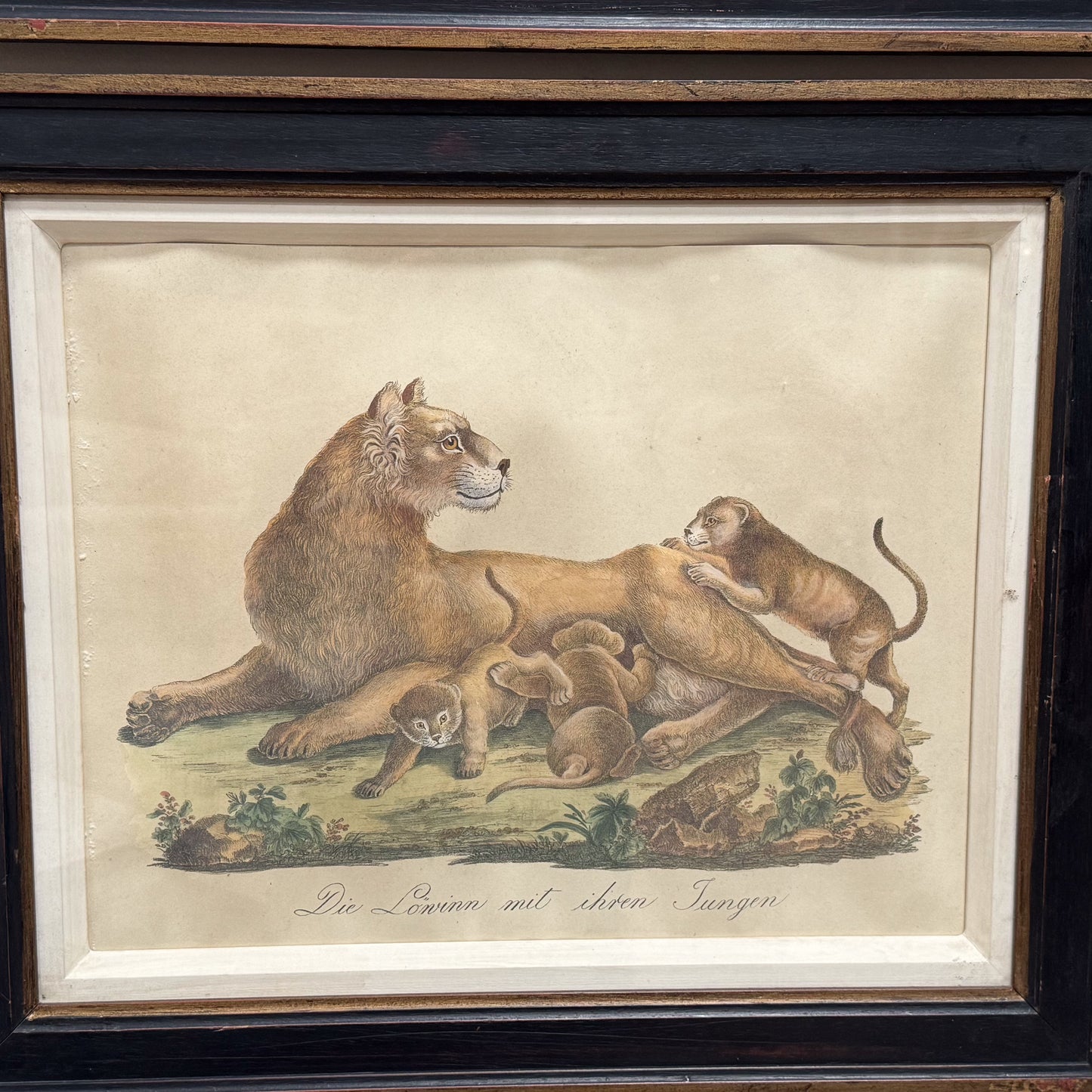 A Trio of Prints by Karl Joseph Brondtmann (1787-1862)