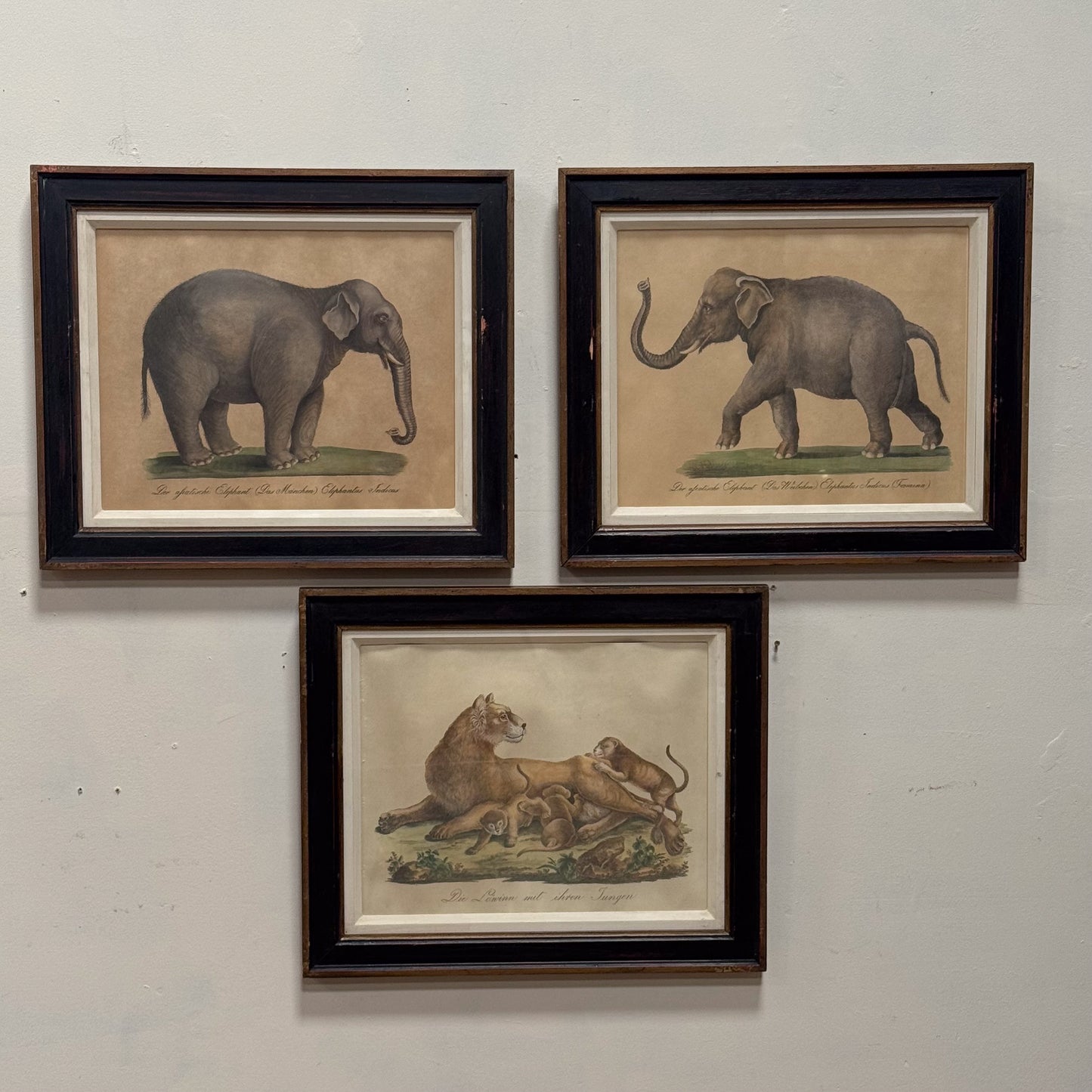 A Trio of Prints by Karl Joseph Brondtmann (1787-1862)
