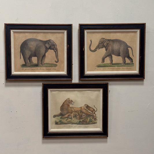 A Trio of Prints by Karl Joseph Brondtmann (1787-1862)