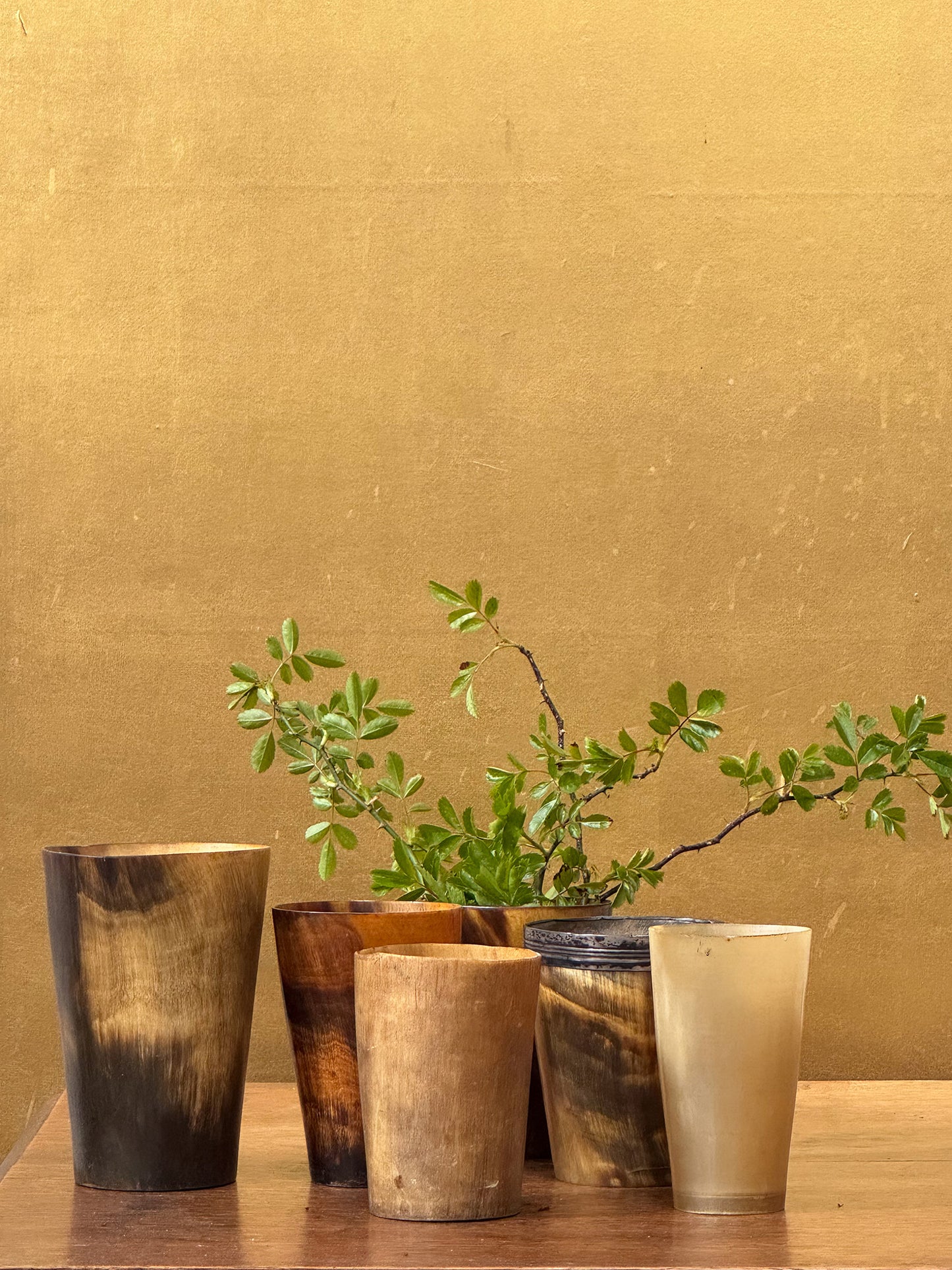 A Collection of 19th Century Horn Beakers