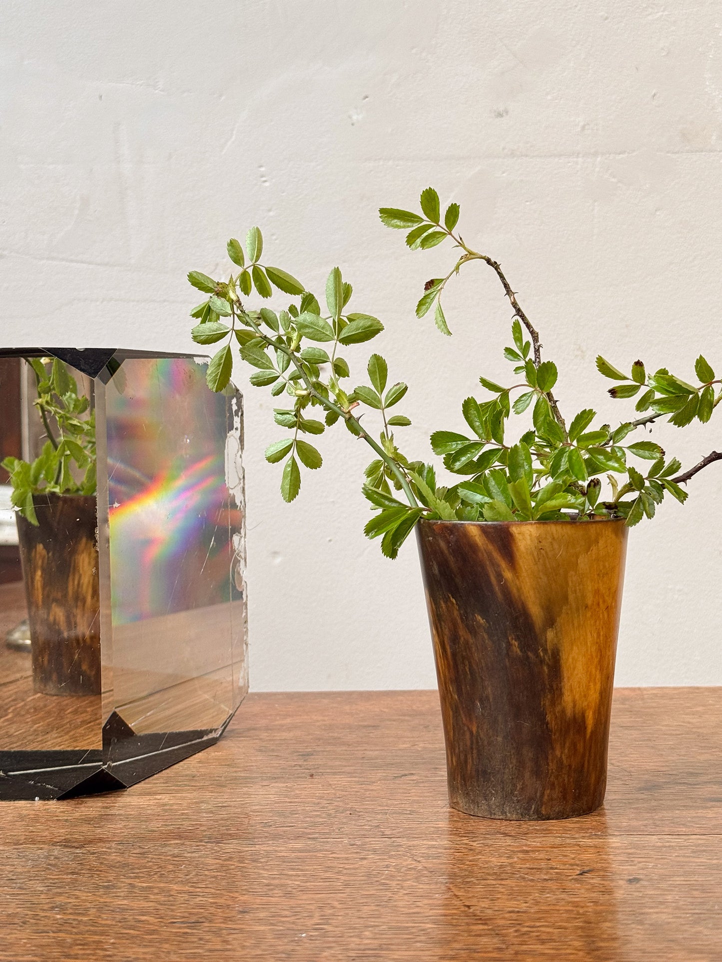 A Collection of 19th Century Horn Beakers