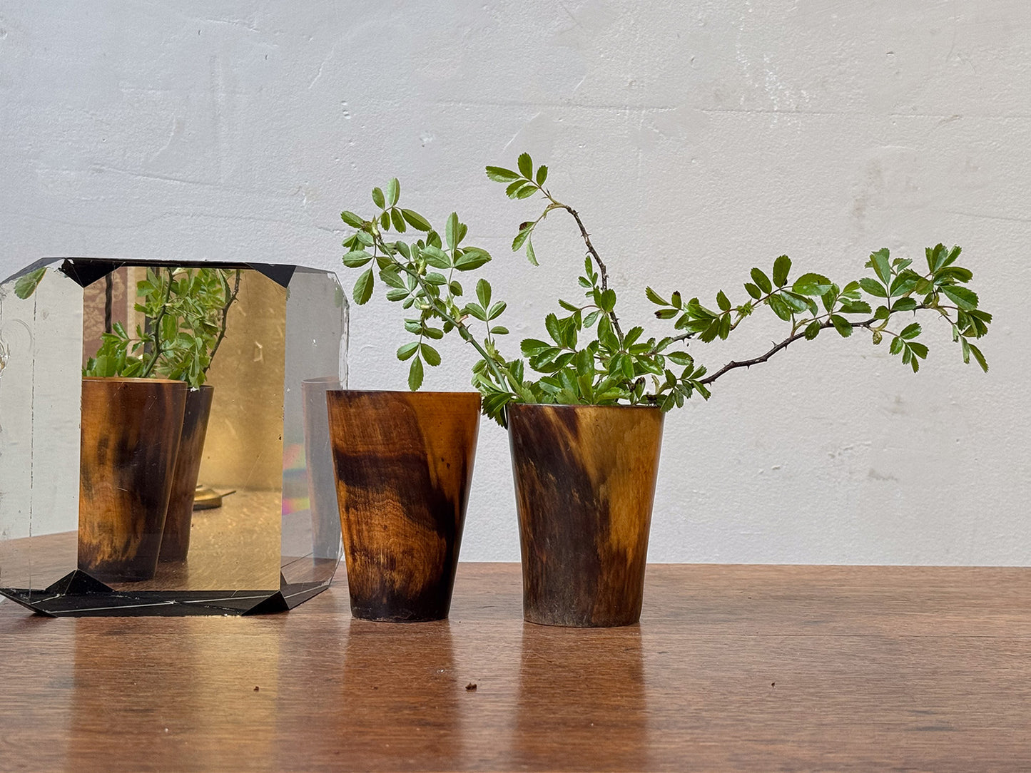 A Collection of 19th Century Horn Beakers