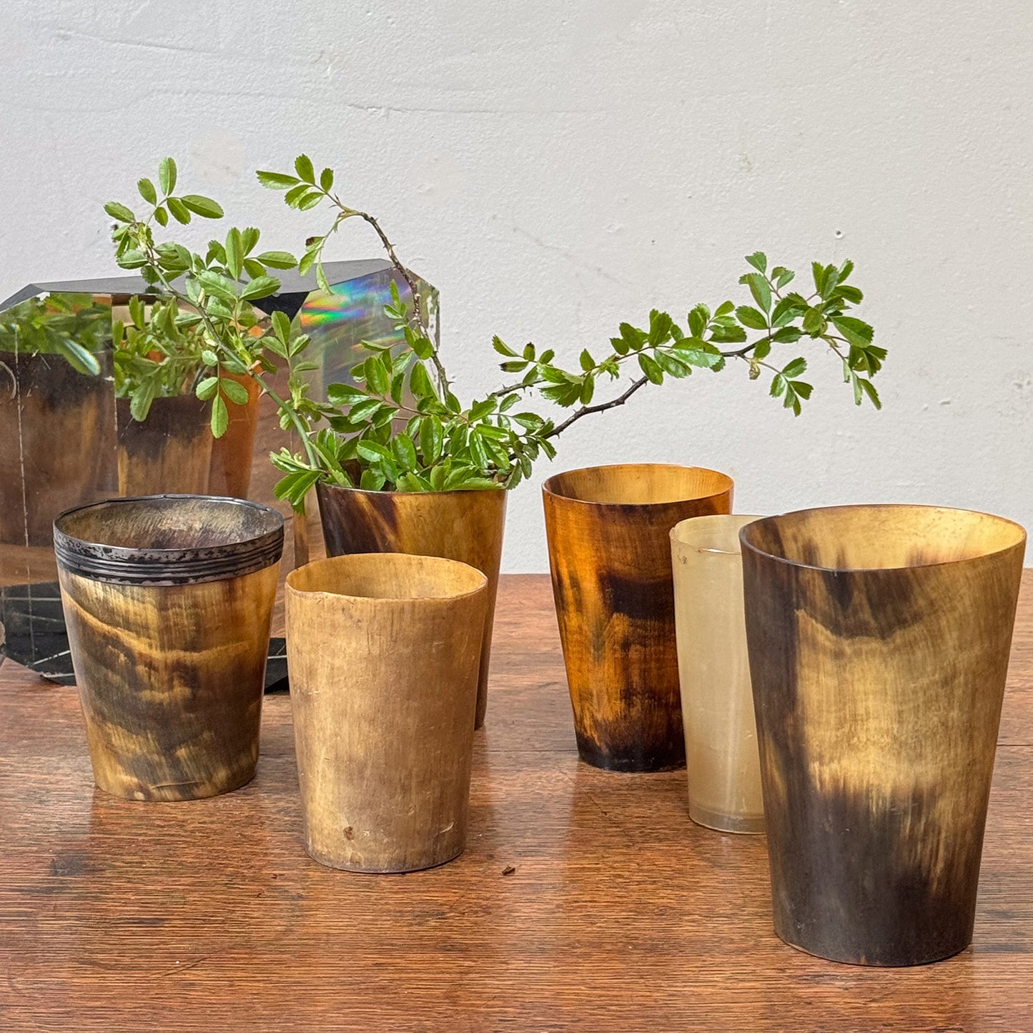 A Collection of 19th Century Horn Beakers