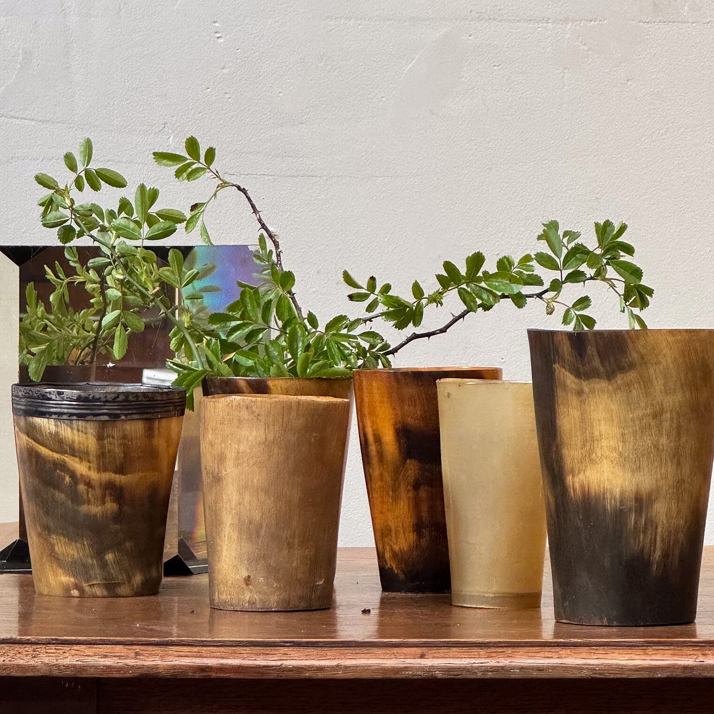 A Collection of 19th Century Horn Beakers