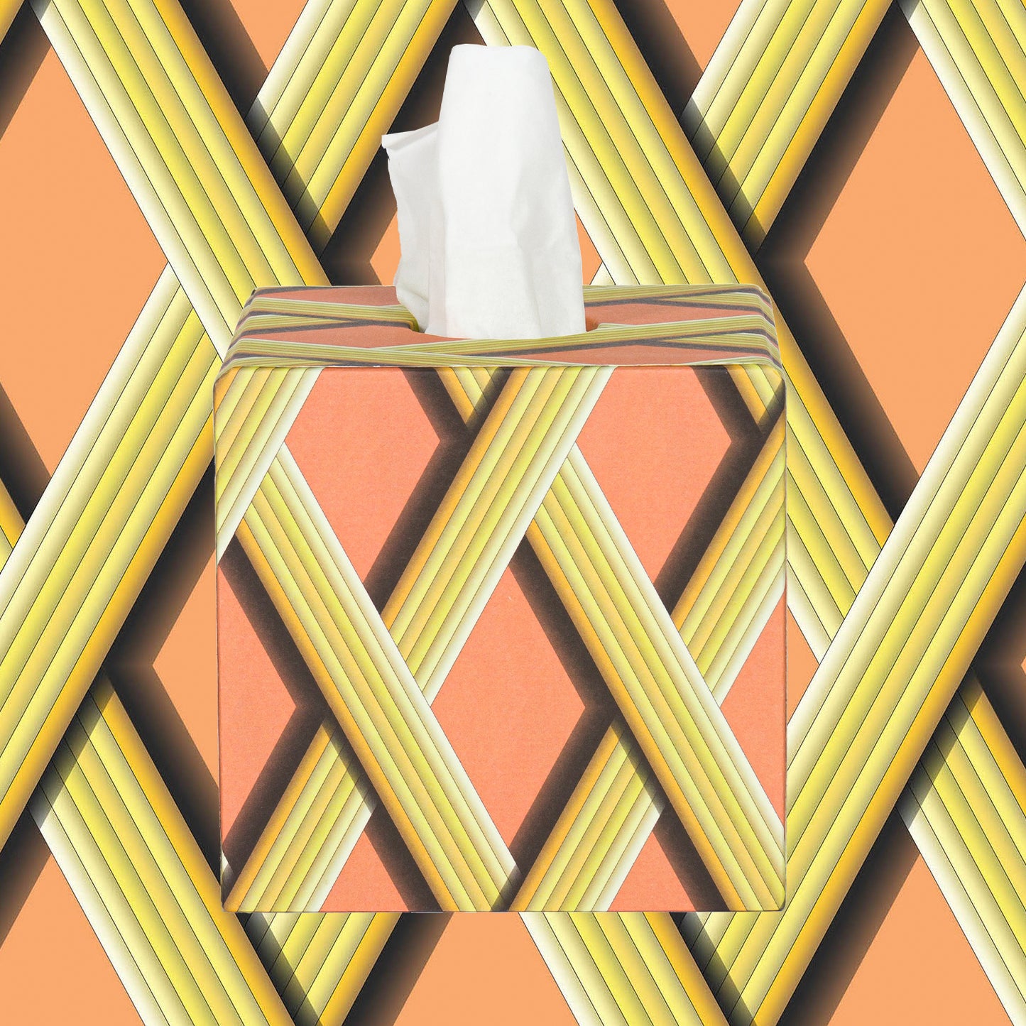 Tissue Box - Apricot Trellis Work