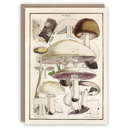 Fungi - Greeting Card