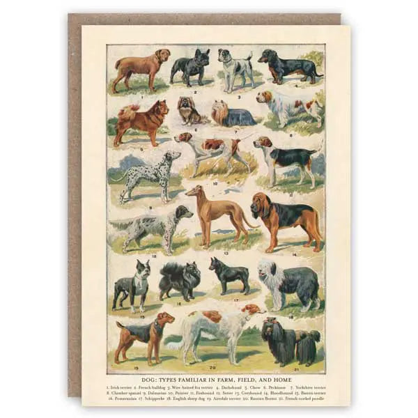 Dog Breeds - Greeting Card