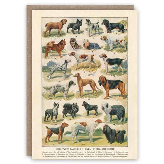 Dog Breeds - Greeting Card