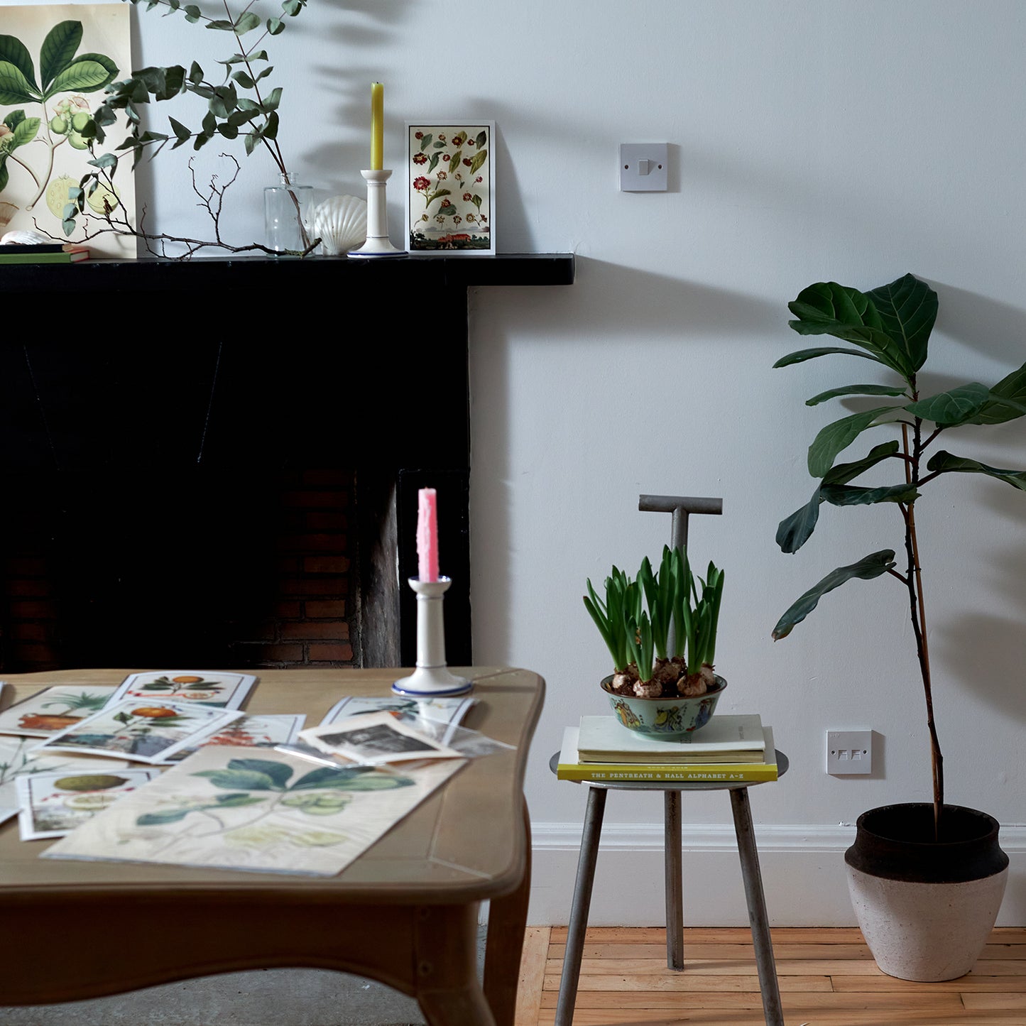 Limon Della Costa Grofso  Giclée Print