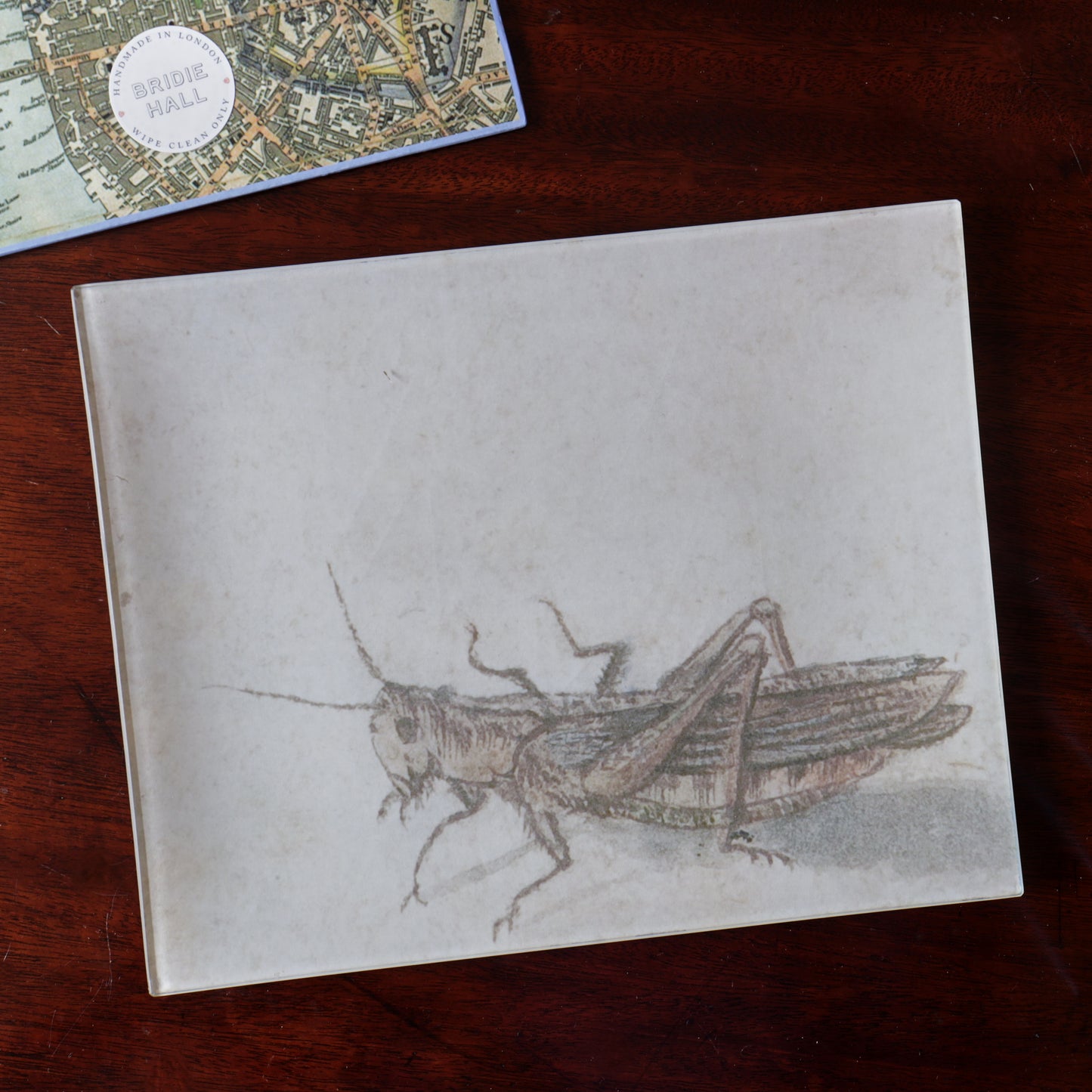 8" x 10" A Grasshopper Decoupage Tray