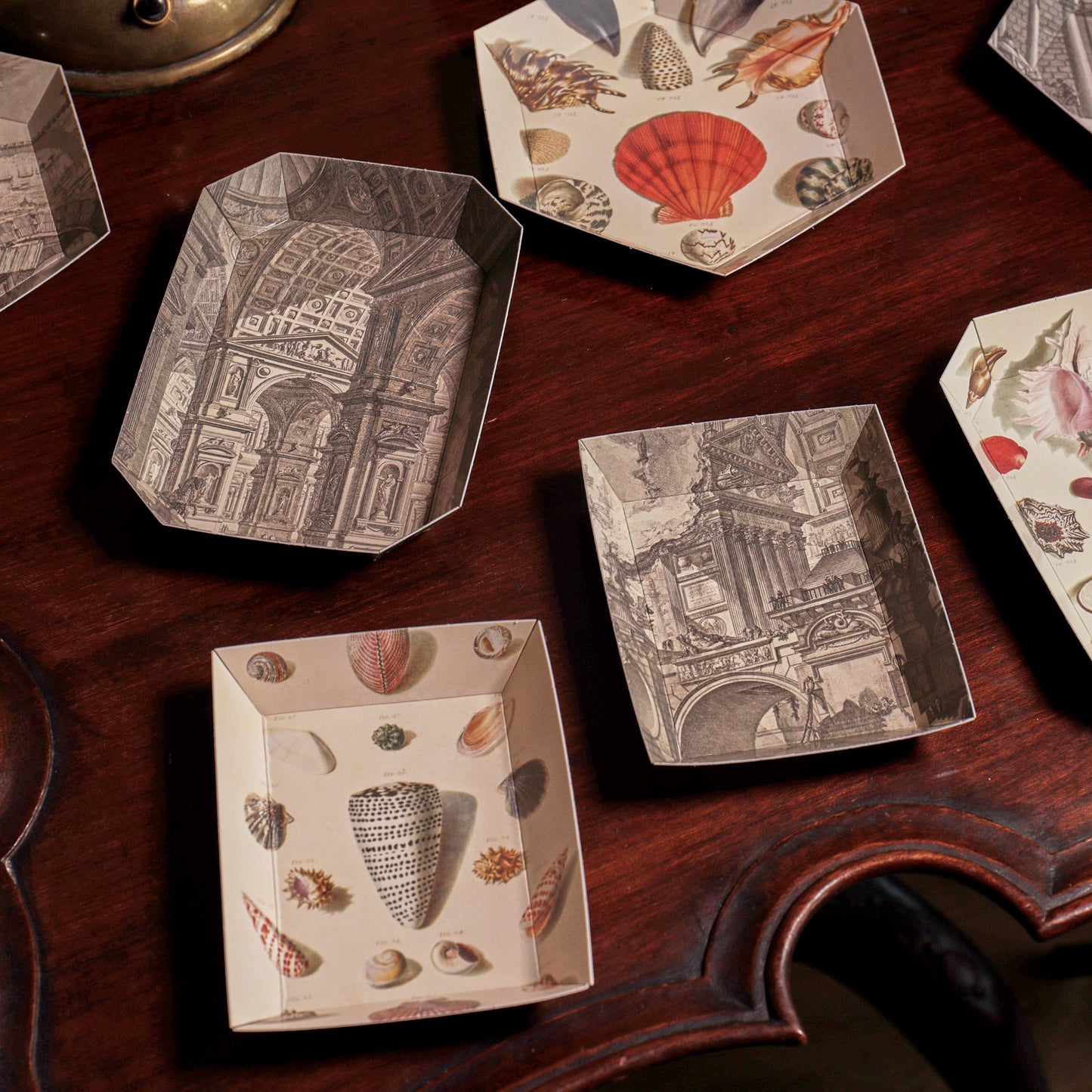 Portable Paper Trays - Set Of Four - Regenfuss Sea Shells