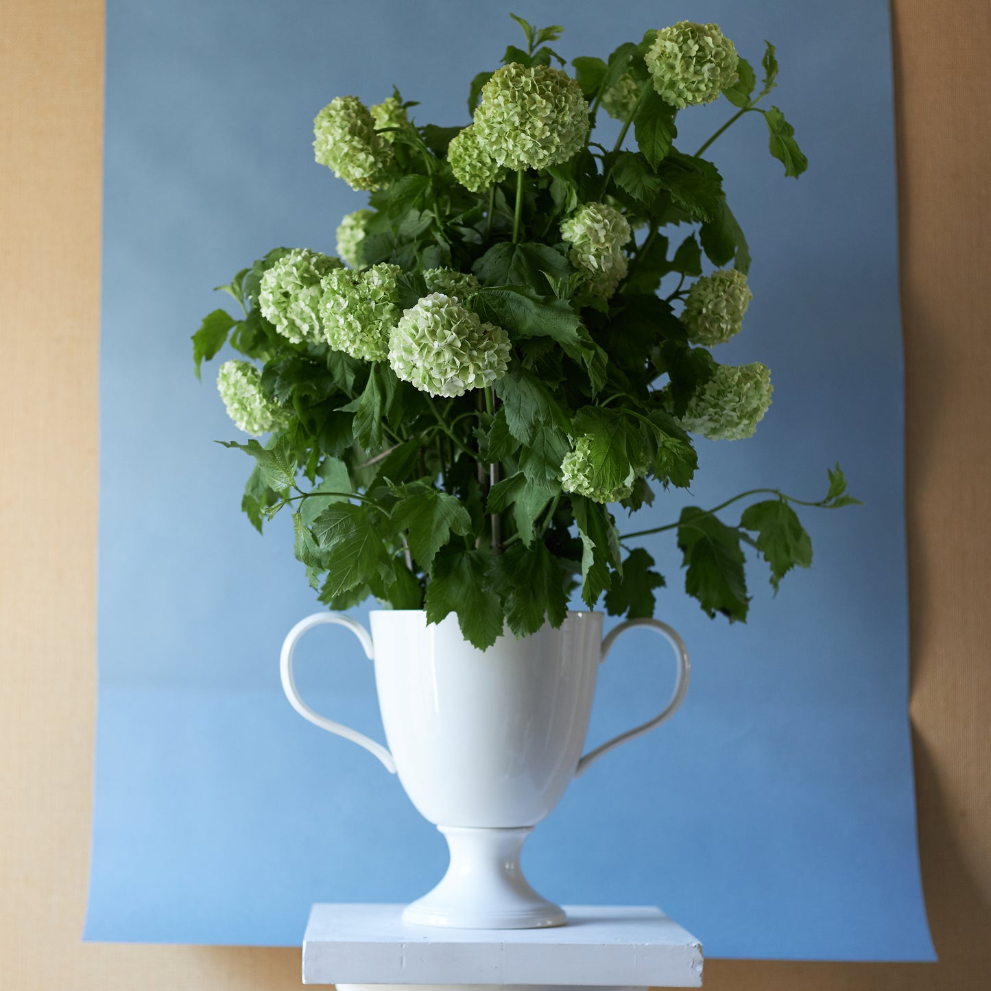 P&H Creamware Lidded Urn with Handles