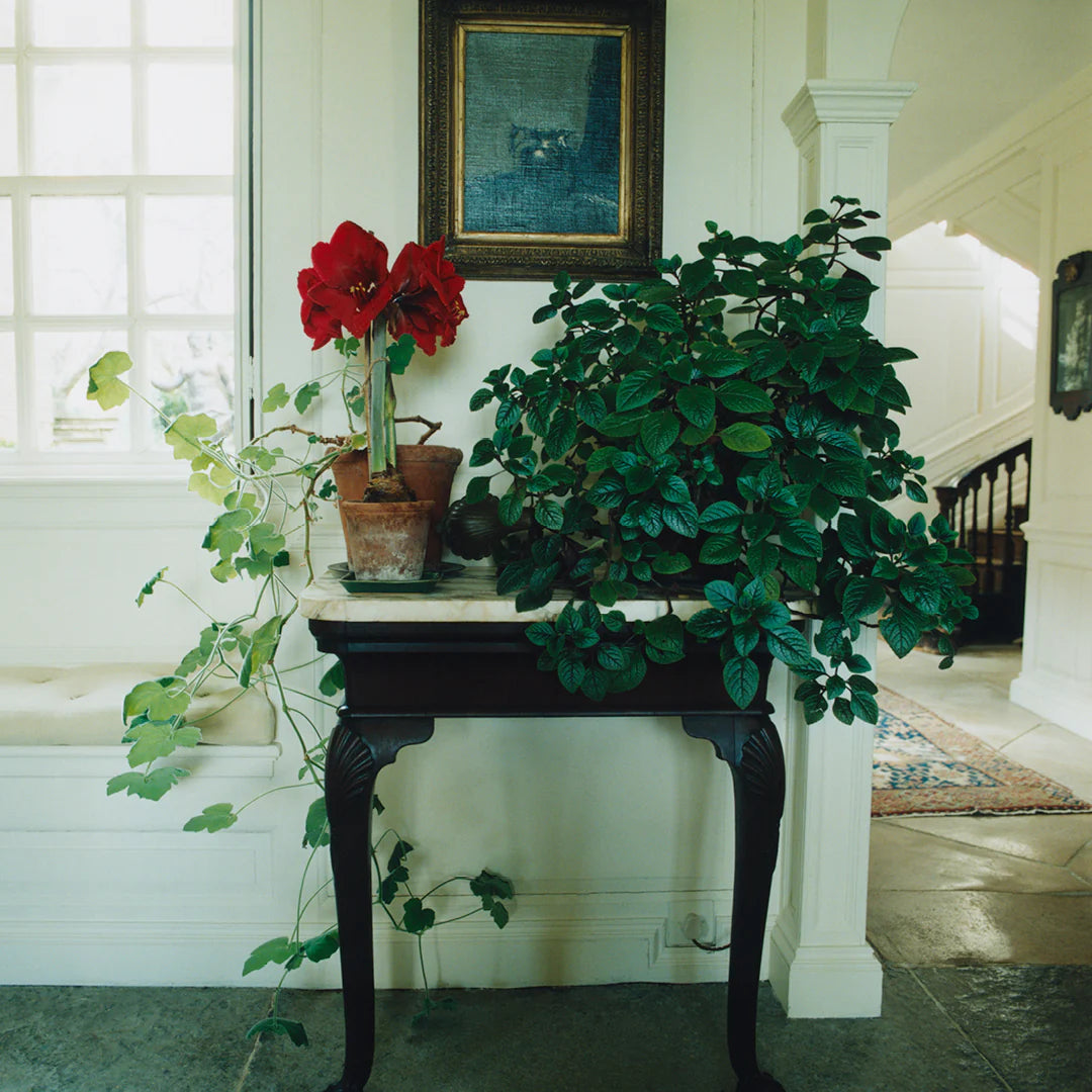 Scenery Magazine - Issue 5 - Jasper Conran