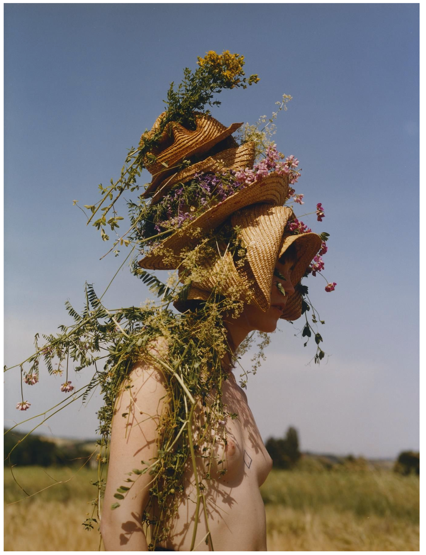 Primary paper – Issue 5