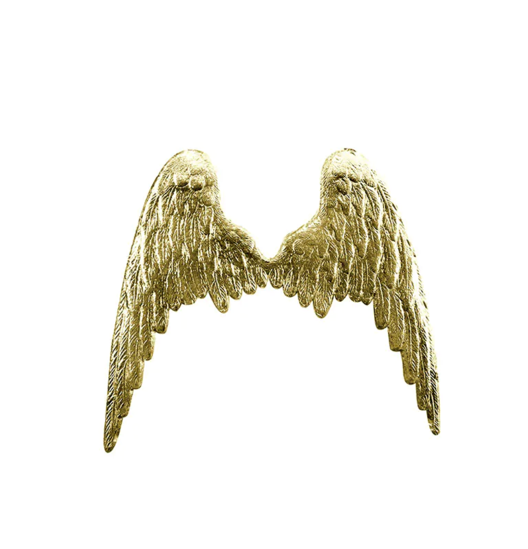 Angel Wings - set of 30