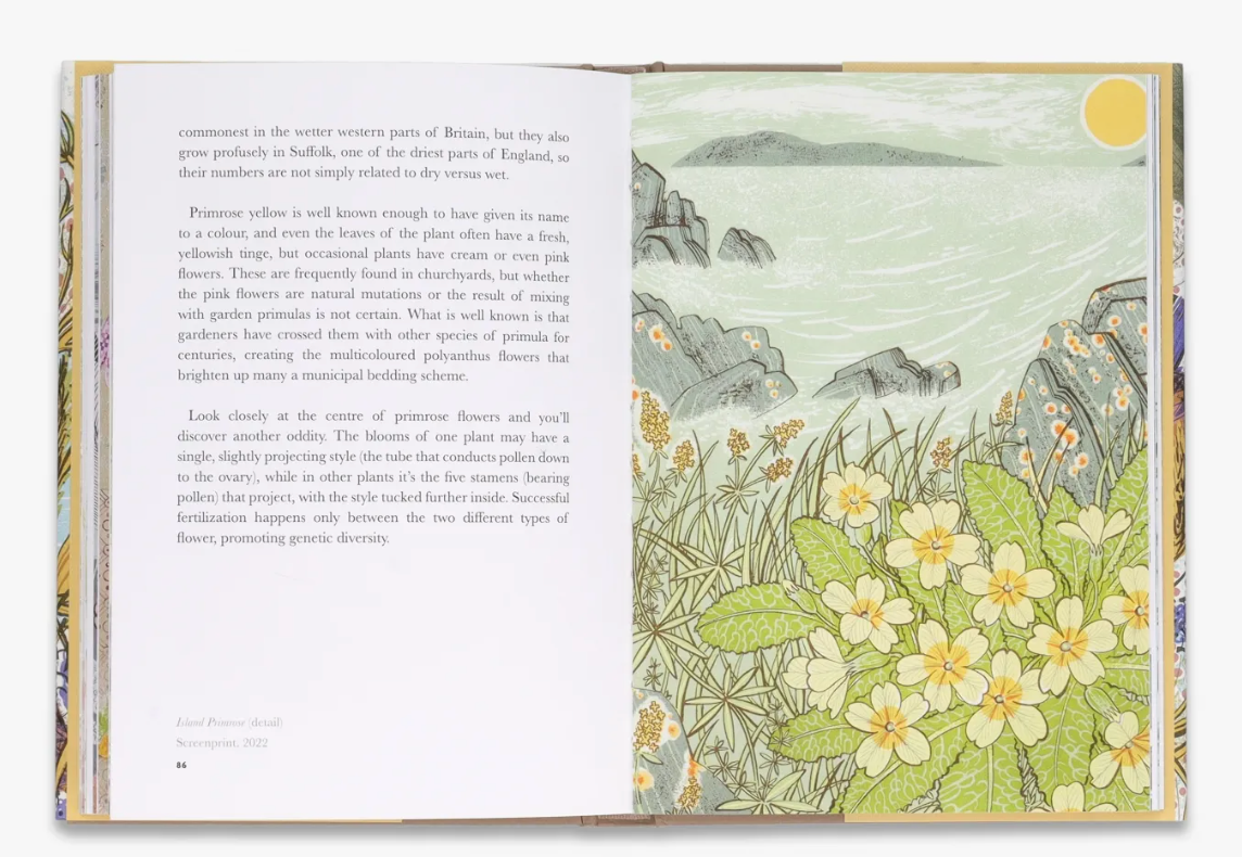 The Book Of Wildflowers