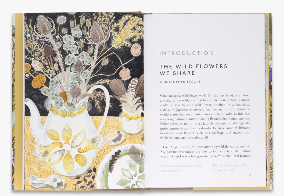 The Book Of Wildflowers