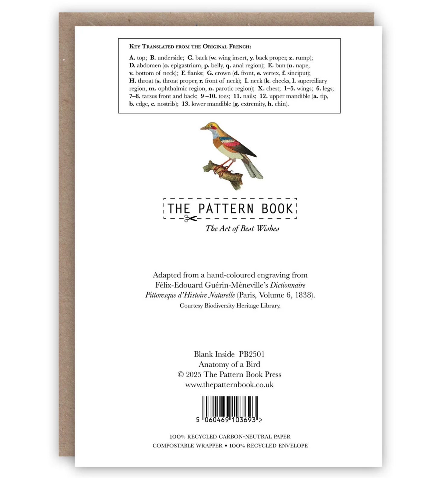 Anatomy of a Bird - Greeting Card