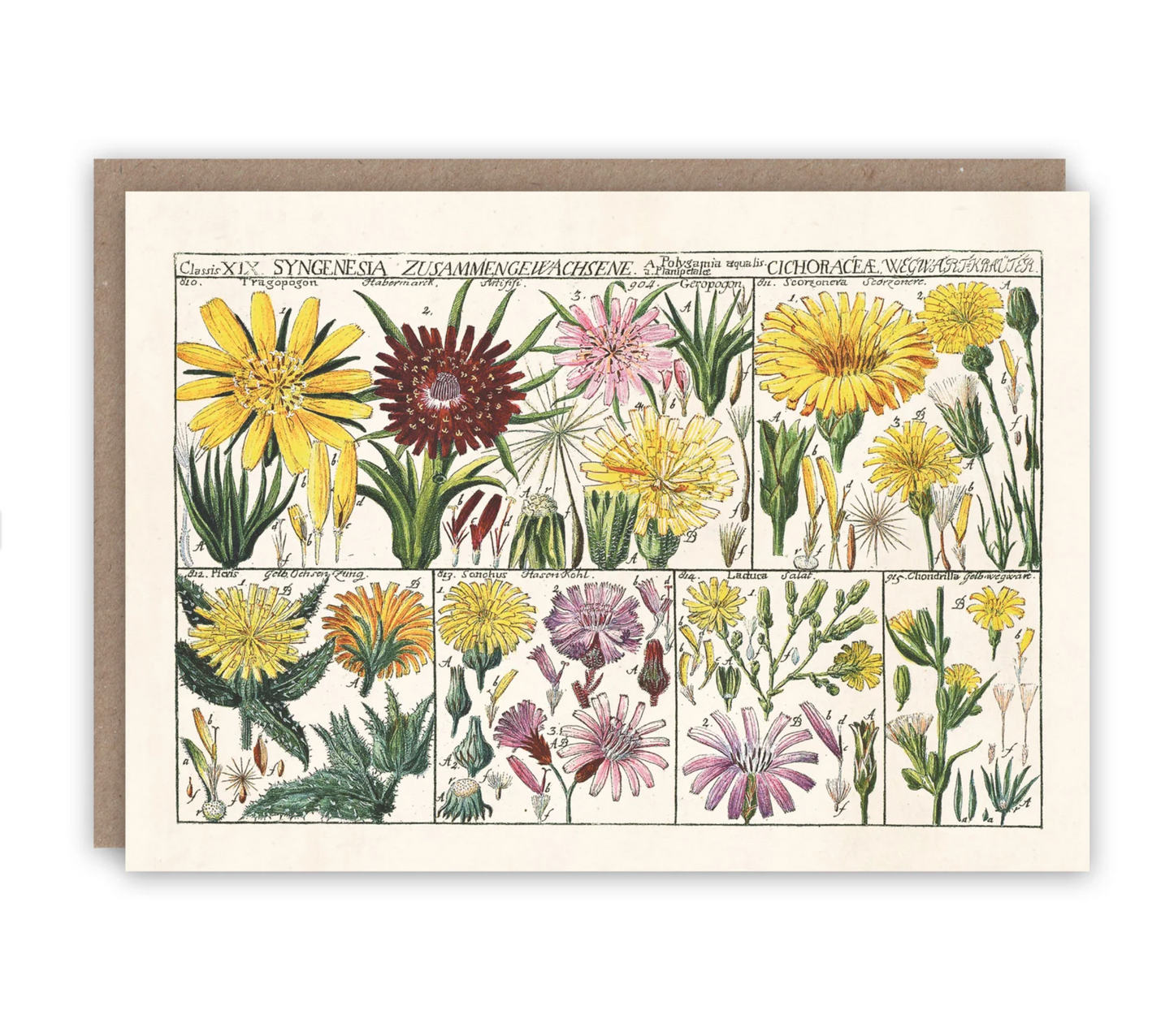 Wildflowers - Greeting Card