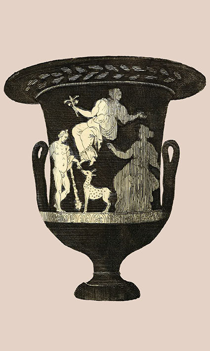 Greek Urn Print - Rose I