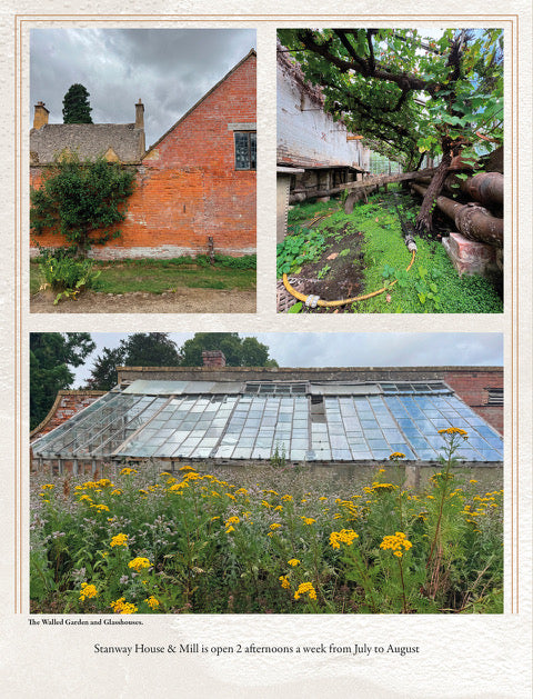 The Bible of British Taste: Issue no. 4