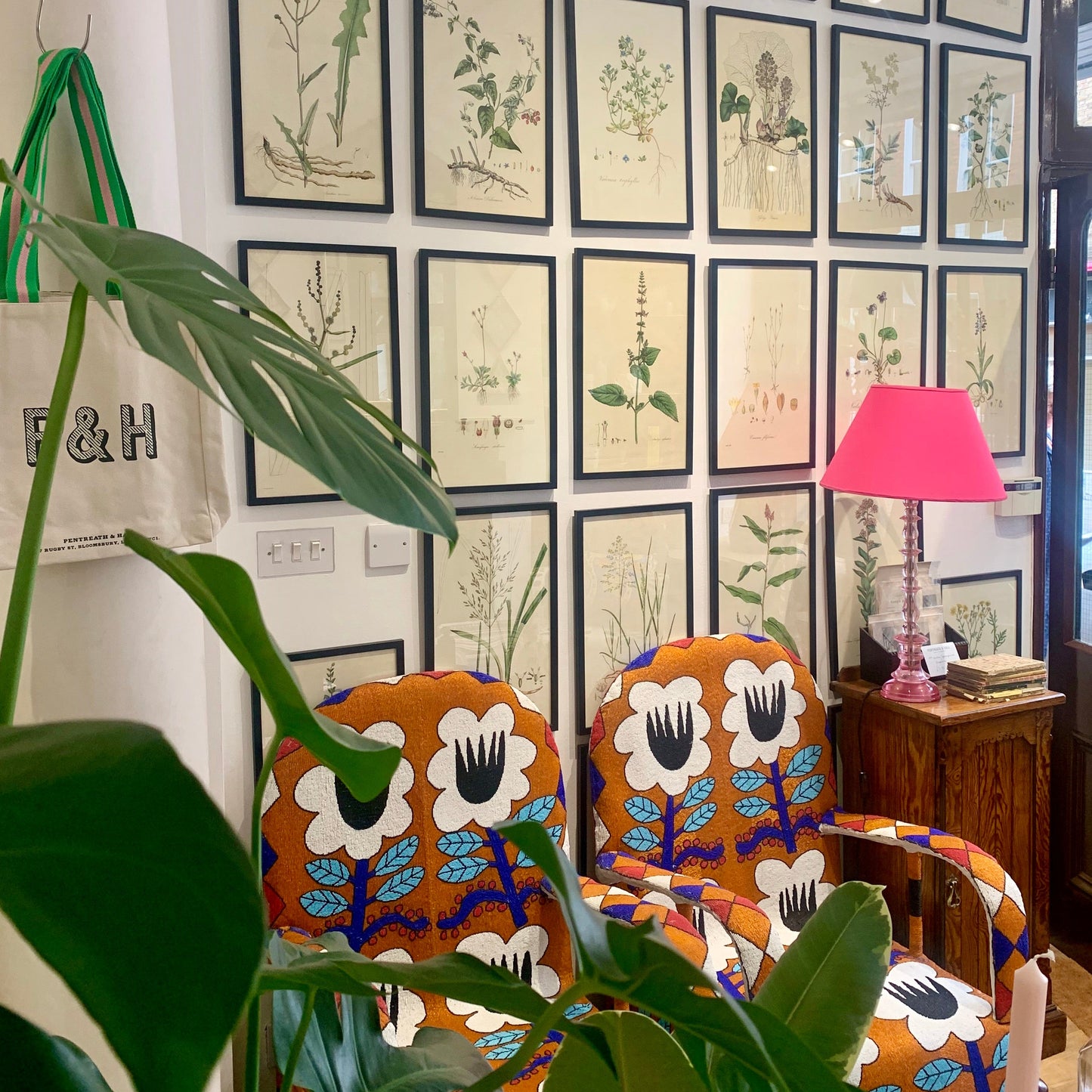 Panicum viride ‘Flora Londinensis’ Botanical Print - Framed
