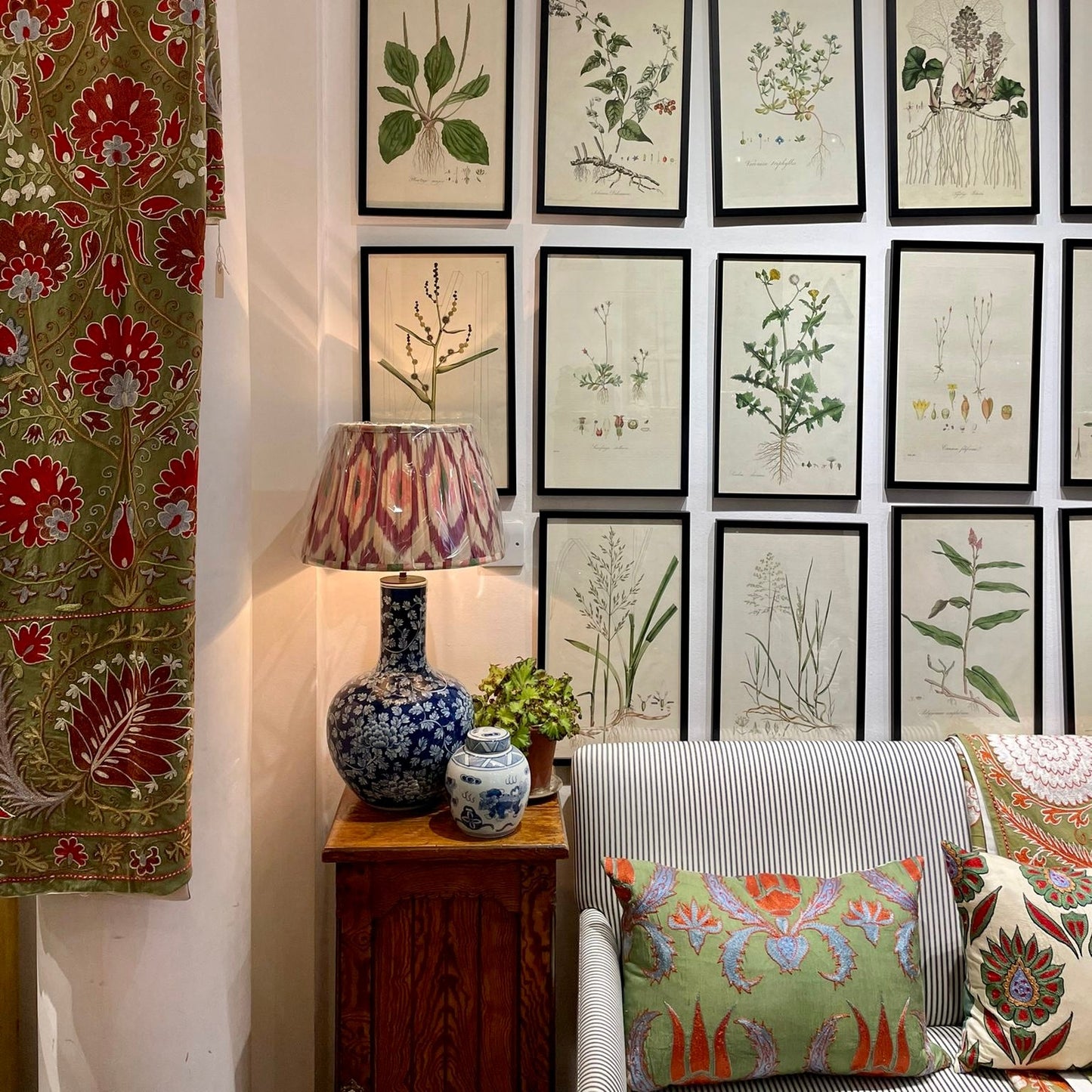 Panicum viride ‘Flora Londinensis’ Botanical Print - Framed
