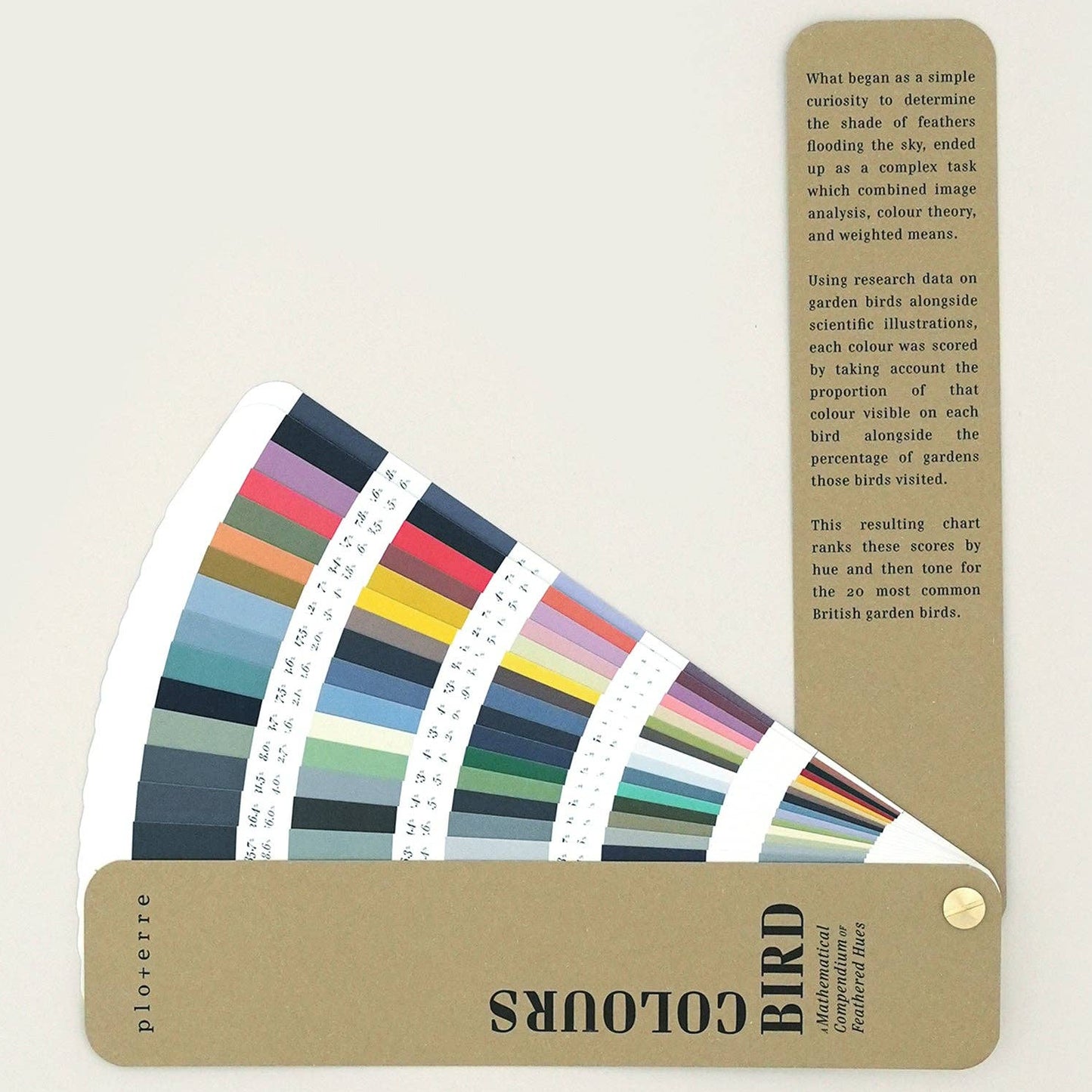Bird Colours Book