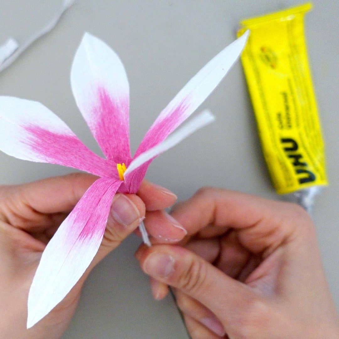 Make Your Own Crepe Paper Cyclamen Plant